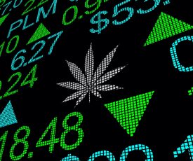 Industria del Cannabis