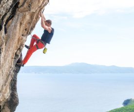 Climbing Up the Walls