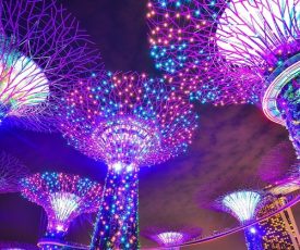 I like the dreams of the future better than the history of the past