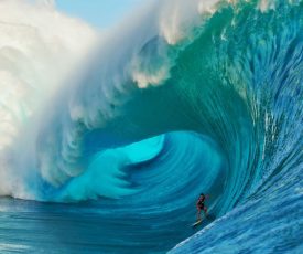 Hold in May and ride the wave