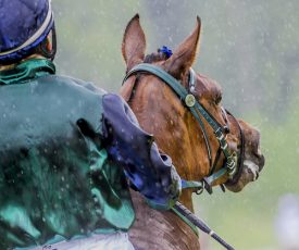 Riders on the Storm