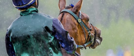 Riders on the Storm