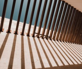 Entre luces y sombras