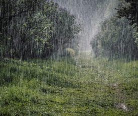 Tears in Heaven