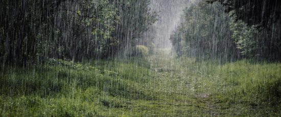 Tears in Heaven
