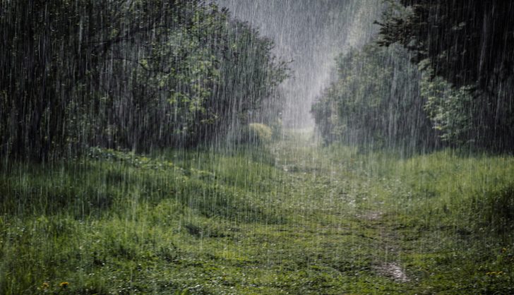 Tears in Heaven