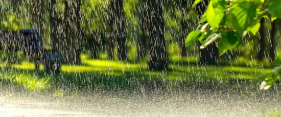November Rain