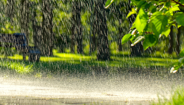 November Rain