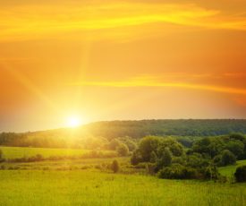 Here comes the sun