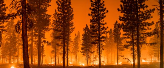We didn´t start the fire