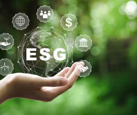 América Latina y sustentabilidad