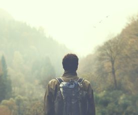 Nearly Lost You