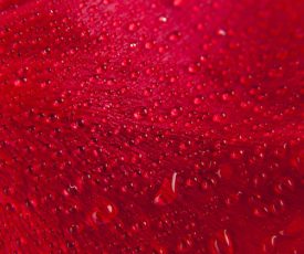 Red Rain