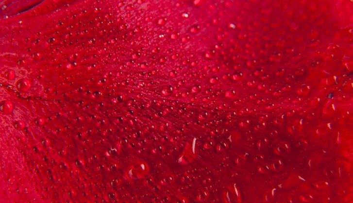 Red Rain