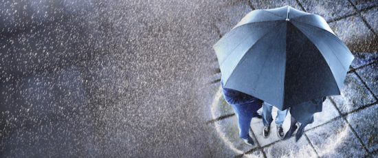 Shelter from the storm
