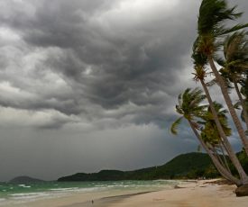 I’m Still Standing