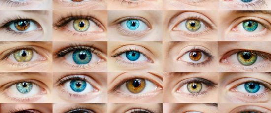 Thousand Eyes