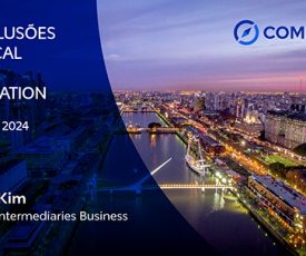 Uma (ou duas) andorinha(s) não faz(em) verão*.