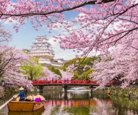 Sayōnara* tasas negativas