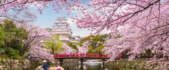 Japón: Entre fragilidad política y tensión comercial