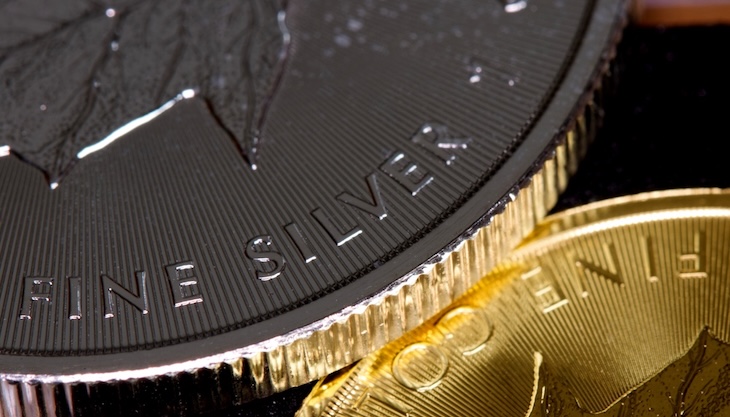 Plata: Welcome to the Jungle