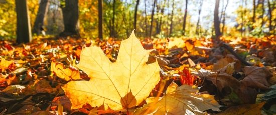 A hazy shade of winter