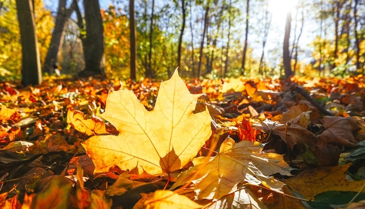 A hazy shade of winter